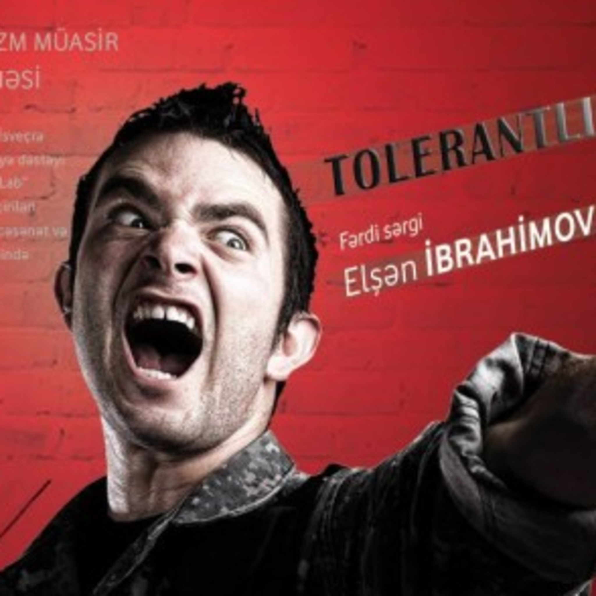 Exhibition Elshan Ibrahimov Simulation Tolerance